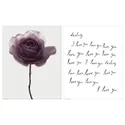 IKEA BILD БІЛЬД, постер, романтична троянда, 40x50 см 105.705.42 фото thumb №1