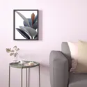 IKEA BILD БІЛЬД, постер, Рослина в горщику - Зей, 40x50 см 804.420.75 фото thumb №3
