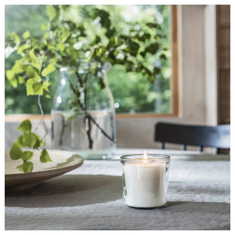 IKEA ADLAD АДЛАД, ароматическая свеча в стакане, Скандинавские породы дерева / белый, 20 часов. 505.021.03 фото №3