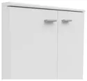 BRW Двухдверный шкаф Ноэда 71 см белый, белый SFK2D-BI фото thumb №5