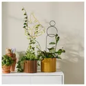 IKEA DAKSJUS ДАКСЬЮС, опора для растения, 2 шт., в помещении / на улице / различные формы различные цвета 005.671.25 фото thumb №2