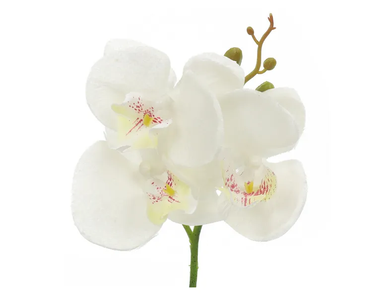 BRW Искусственная орхидея в горшке 30 см белая 090881 фото №2