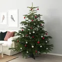 IKEA ABIES NORDMANNIANA, Різдвяна ялинка, 171-220 см 802.283.63 фото thumb №2