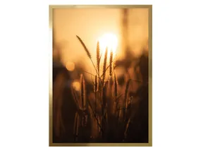 BRW картина Трави на сонці 50х70 см 081595 фото