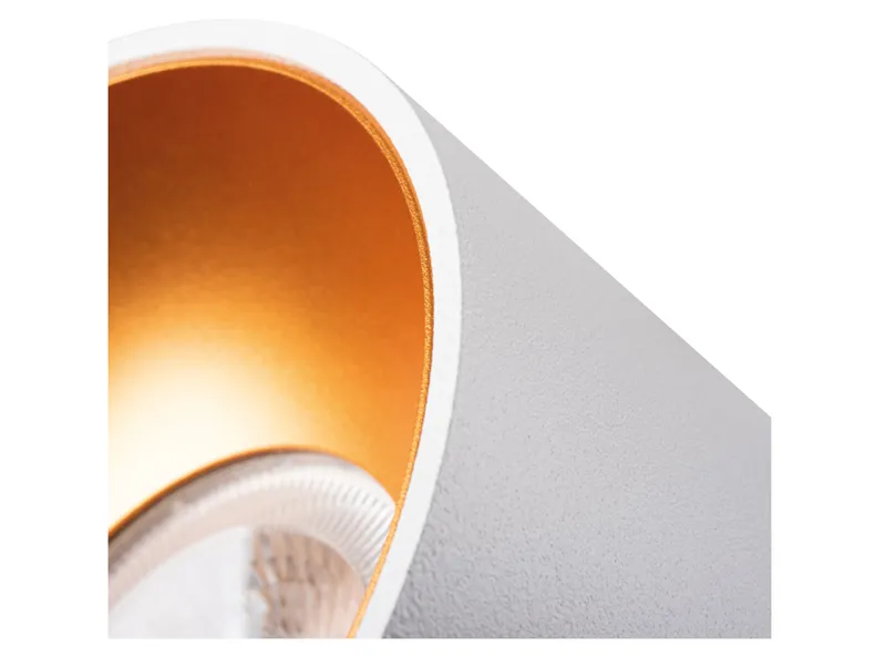 BRW Алюминиевый потолочный светильник Mini Riti белого и золотого цвета 086805 фото №2