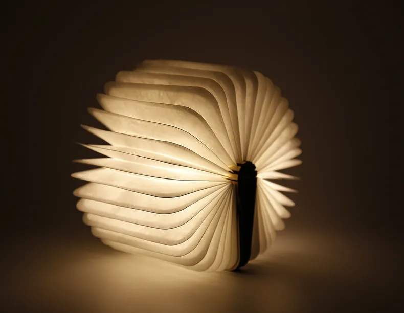 BRW Booklight, декоративная настольная лампа 076534 фото №8