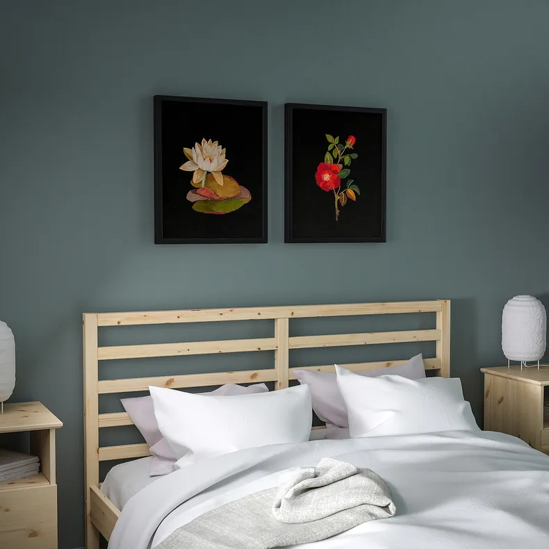 IKEA BILD БИЛЬД, постер, Флора Деланика I, 40x50 см 004.469.25 фото №2