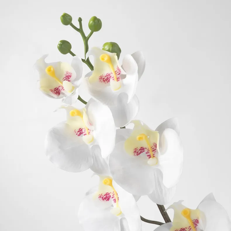 IKEA SMYCKA СМИККА, цветок искусственный, Орхидея / белый, 60 см 803.335.85 фото №3