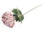 BRW одиночна хризантема рожева 090094 фото
