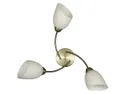 BRW Трехпозиционный стеклянный потолочный светильник Benita белого и золотого цвета 087222 фото thumb №1