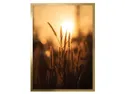 BRW картина Травы на солнце 50x70 см 081595 фото thumb №1