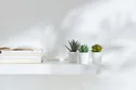 IKEA FEJKA ФЕЙКА, искусственное растение и кашпо, Суккулент комнатный / открытый, 6 см 3 шт. 505.197.64 фото thumb №5