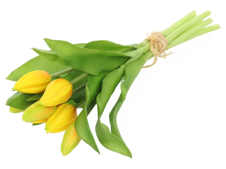 BRW Букет тюльпанов 29 см 7 шт прорезиненный желтый 090935 фото №1