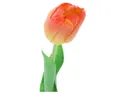 BRW тюльпан одиночный 085746 фото thumb №3