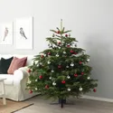 IKEA ABIES NORDMANNIANA, Різдвяна ялинка, 140-170 см 800.458.82 фото thumb №2