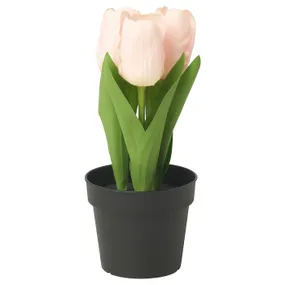 IKEA FEJKA ФЕЙКА, штучна рослина в горщику, для приміщення / вулиці / Тюльпан рожевий, 9 см 605.716.81 фото