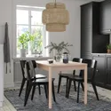 IKEA RÖNNINGE РЕННІНГЕ / LISABO ЛІСАБО, стіл+4 стільці, береза / чорний, 118 / 173 см 694.290.56 фото thumb №2