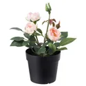 IKEA FEJKA ФЕЙКА, штучна рослина в горщику, для приміщення / вулиці / Троянда рожевий, 9 см 003.953.13 фото thumb №1