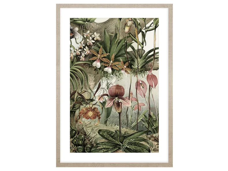 BRW Картина Орхидея I 50x70 см 093122 фото №1