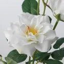 IKEA SMYCKA СМЮККА, штучна квітка, для приміщення / вулиці / Троянда білий, 65 см 905.601.48 фото thumb №4