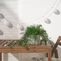 IKEA FEJKA ФЕЙКА, искусственное растение в горшке, спаржа комнатная / открытая / подвесная, 12 см 005.716.79 фото thumb №3