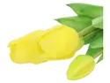 BRW букет тюльпанів 28 см 5 шт прогумований жовтий 090932 фото thumb №2
