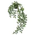 IKEA FEJKA ФЕЙКА, штучна рослина в горщику, для приміщення / вулиці / підвісний, 9 см 403.495.31 фото thumb №1