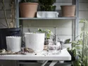 IKEA SESAMFRÖN СЕСАМФРЁН, опрыскиватель для растений, прозрачное стекло, 25 кл 204.881.89 фото thumb №2