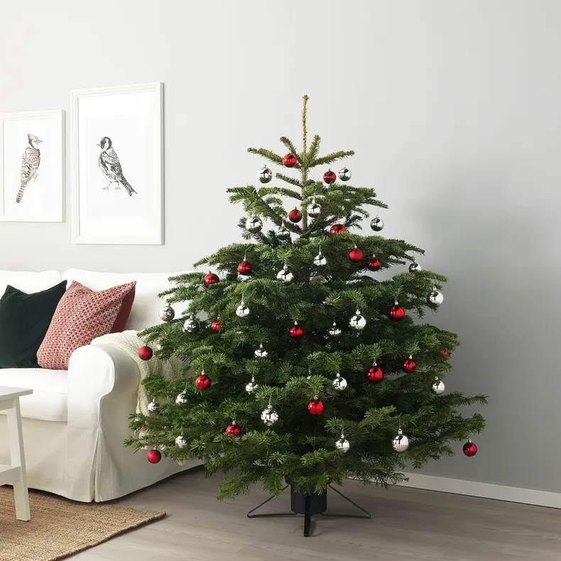 IKEA ABIES NORDMANNIANA, Різдвяна ялинка, 140-170 см 800.458.82 фото №2