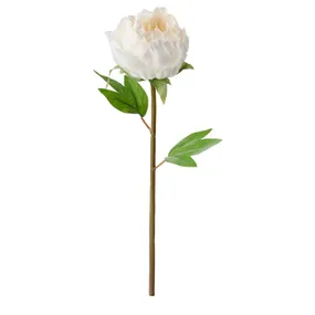IKEA SMYCKA СМИККА, цветок искусственный, Пион / белый, 30 см 804.097.83 фото