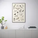 IKEA BILD БИЛЬД, постер, жизнь птиц, 61x91 см 904.417.92 фото thumb №3