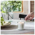 IKEA ADLAD АДЛАД, ароматическая свеча в стакане, Скандинавские породы дерева / белый, 40 часов. 005.021.86 фото thumb №2