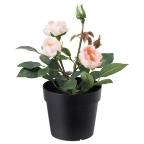IKEA FEJKA ФЕЙКА, штучна рослина в горщику, для приміщення / вулиці / Троянда рожевий, 9 см 003.953.13 фото