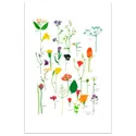 IKEA BILD БІЛЬД, постер, Квітучі квіти, 61x91 см 504.417.94 фото thumb №1
