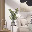 IKEA FEJKA ФЕЙКА, штучна рослина в горщику, внутрішній/зовнішній Palm 'Aroid', 15 см 005.932.28 фото thumb №4