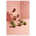IKEA FEJKA ФЕЙКА, искусственное растение в горшке, тимьян, 9 см 903.751.55 фото thumb №2