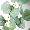 IKEA FEJKA ФЕЙКА, штучна рослина з настінним кріпл, для приміщення / вулиці / зелений 705.486.28 фото thumb №9