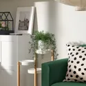 IKEA FEJKA ФЕЙКА, искусственное растение в горшке, спаржа комнатная / открытая / подвесная, 12 см 005.716.79 фото thumb №2