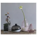 IKEA SANNOLIK САННОЛІК, ваза, рожевий, 17 см 403.097.85 фото thumb №2