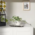 IKEA FEJKA ФЕЙКА, искусственное растение в горшке, внутренняя / наружная мозаика / подвесная, 9 см 405.716.77 фото thumb №2