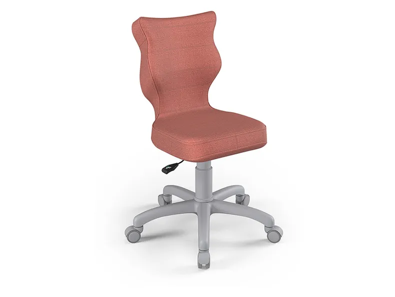 BRW Дитячий стілець для парти рожевий, розмір 4 OBR_PETIT_SZARY_ROZM.4_MONOLITH_08 фото №1