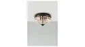 BRW Двухпозиционный металлический потолочный светильник Etienne черный 089056 фото thumb №2