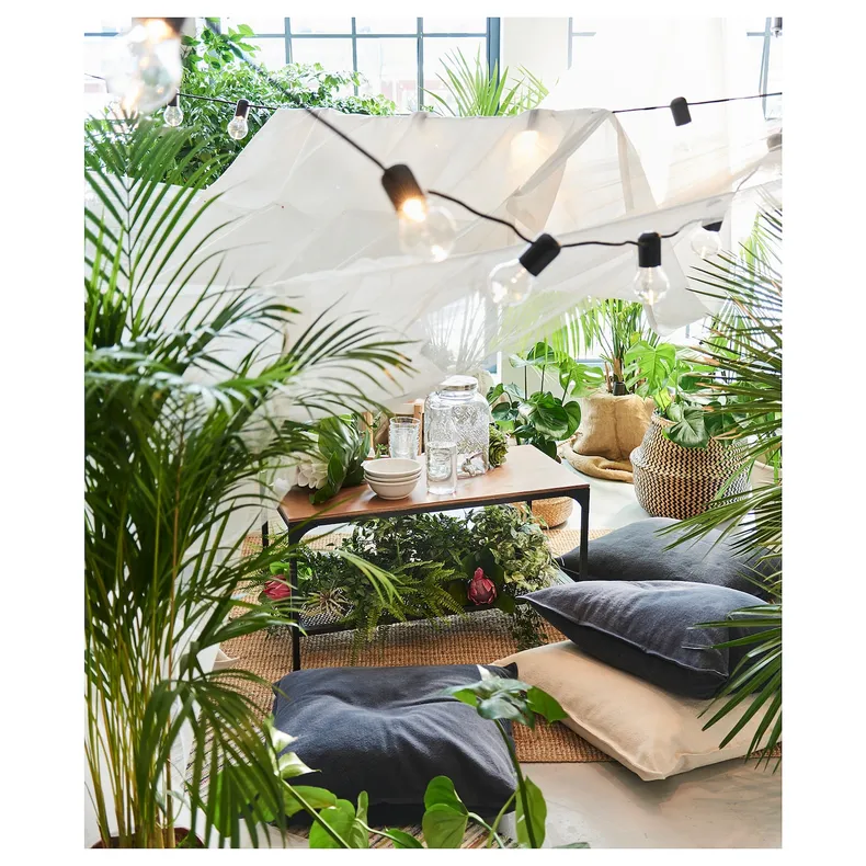 IKEA DYPSIS LUTESCENS ДИПСІС ЛУТЕСЦЕНС, рослина в горщику, Пальма Арека, 24 см 468.040.05 фото №3