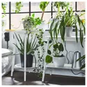 IKEA ALPVIDE АЛЬПВІДЕ, підставка для рослин, білий, 71 см 705.462.62 фото thumb №4
