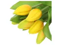 BRW Букет тюльпанов 29 см 7 шт прорезиненный желтый 090935 фото thumb №2