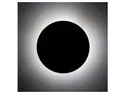 BRW Настінний світильник Luna на 2 точки 20 см металевий коричневий 094974 фото thumb №2