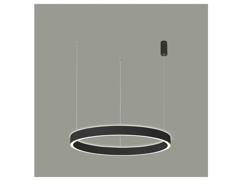 BRW Подвесной светодиодный светильник Brasco Up Down с изменяемым цветом света черный 091924 фото №2