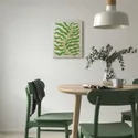 IKEA PJÄTTERYD ПЙЕТТЕРЮД, картина, зелений лист, 40x50 см 105.711.55 фото thumb №2