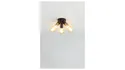 BRW Mazzo 5-точечный металлический потолочный светильник черный 089028 фото thumb №2