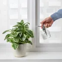 IKEA SESAMFRÖN СЕСАМФРЁН, опрыскиватель для растений, прозрачное стекло, 25 кл 204.881.89 фото thumb №4